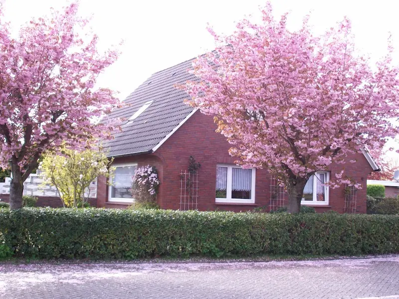 Nordseeurlaub neu gedacht: Warum Hage der perfekte Ort für deine Auszeit ist